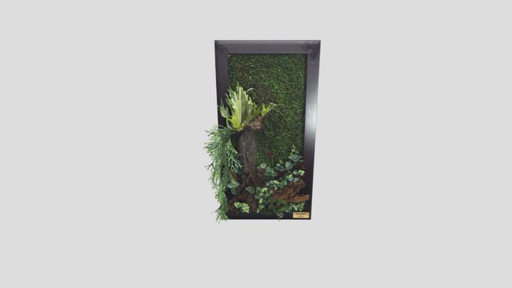 Belantara Frame Hiasan Kayu Hanyut 3D Model