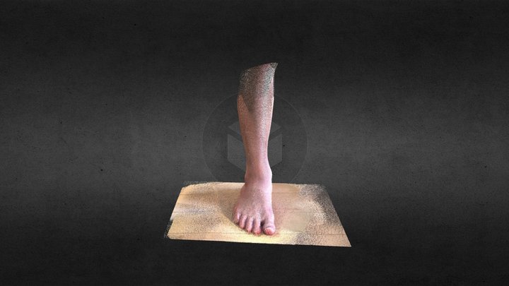 "Foot Scan" Captured by Capture 3D Scan Anything 3D Model