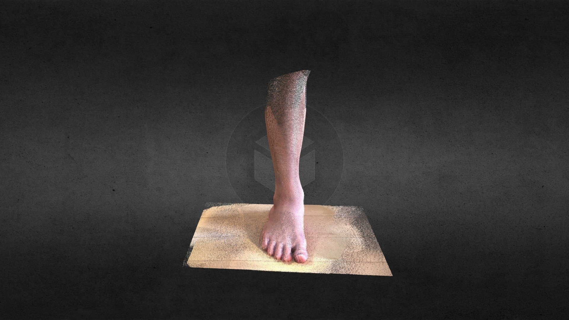 "Foot Scan" Captured by Capture 3D Scan Anything 3D model by y_asuka