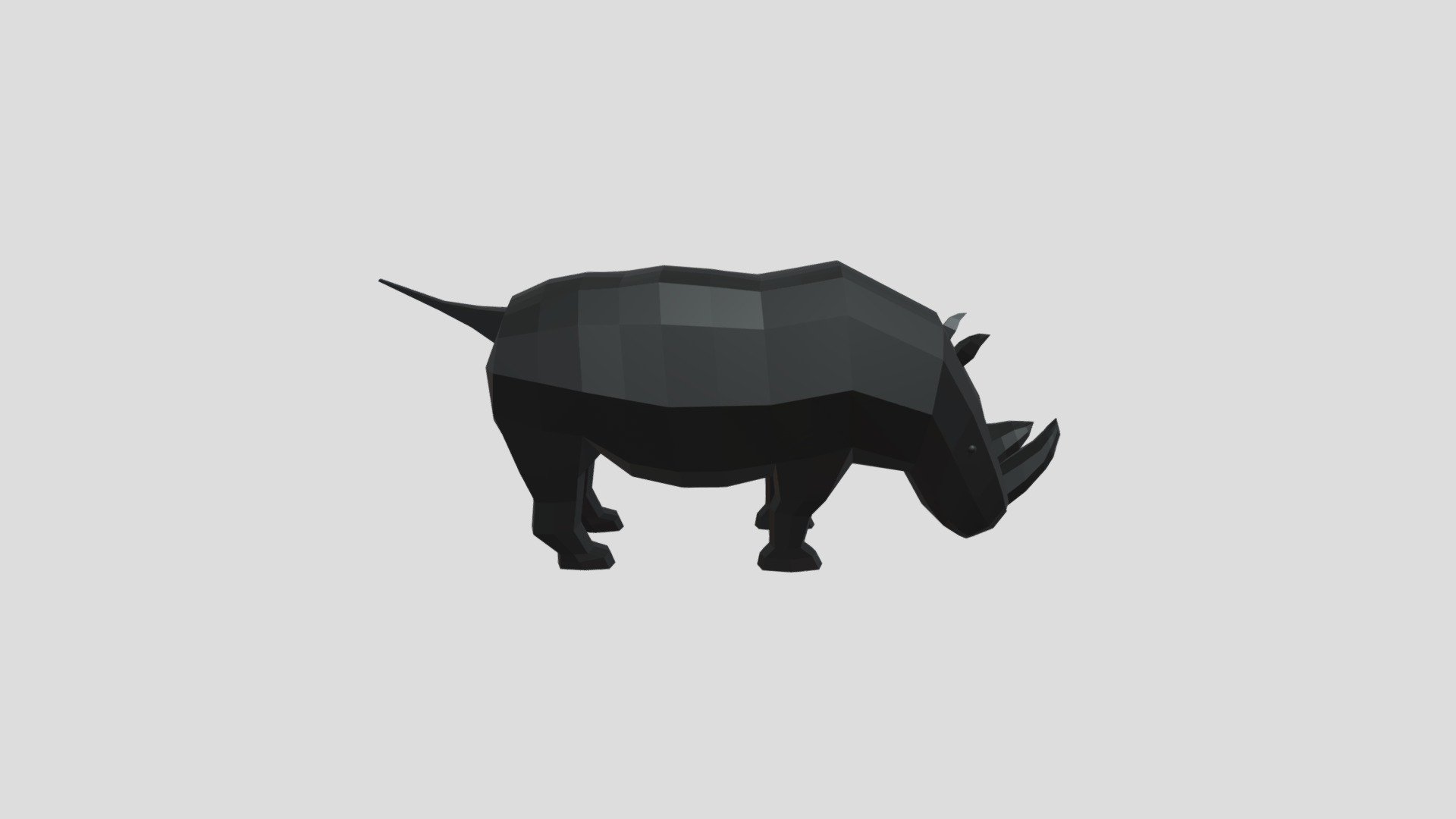 Rhino LP