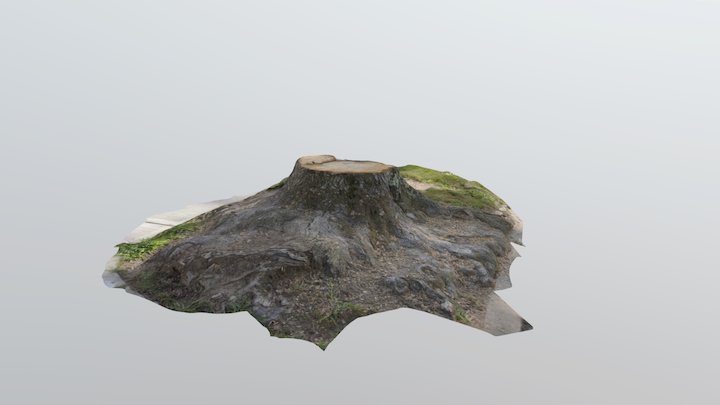 Mt. Stump 3D Model