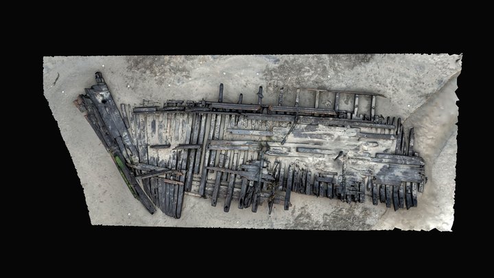 Amazon - Bow Section 03/09/2024 3D Model