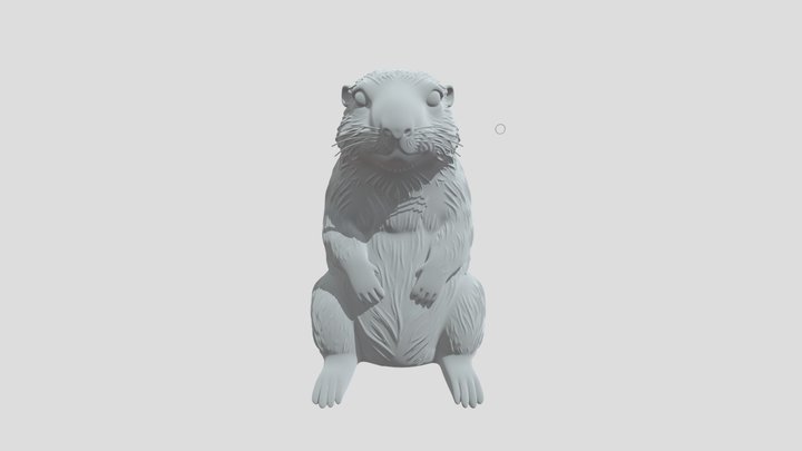 Marmotta 3D Model