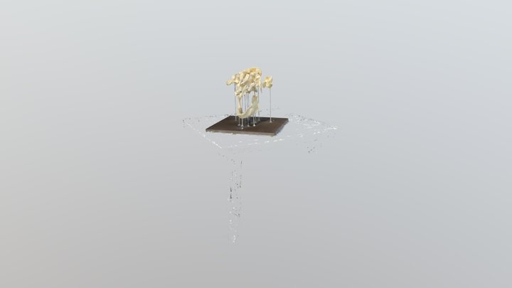 craneo porcino nomad 3D Model