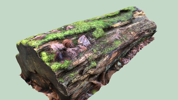 Mossy Log MEDPOLY – Gratis 3D-model STL