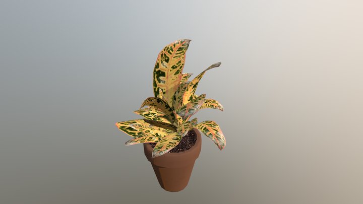 wk8_plant_appezzato 3D Model