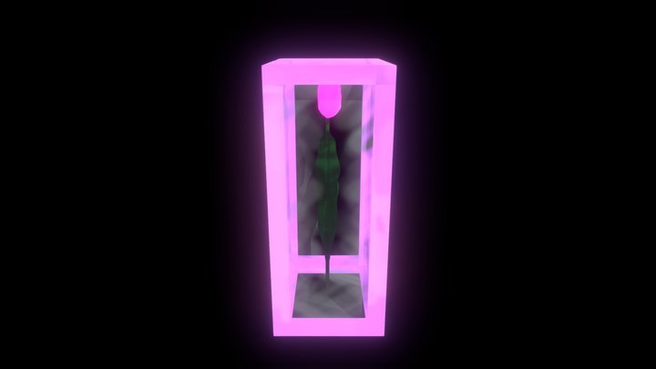 Tulipan 3D Model