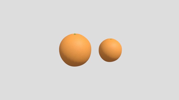 Orange full 3D Model