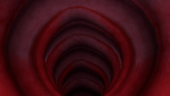 Stylized Trachea Passage 3D Model