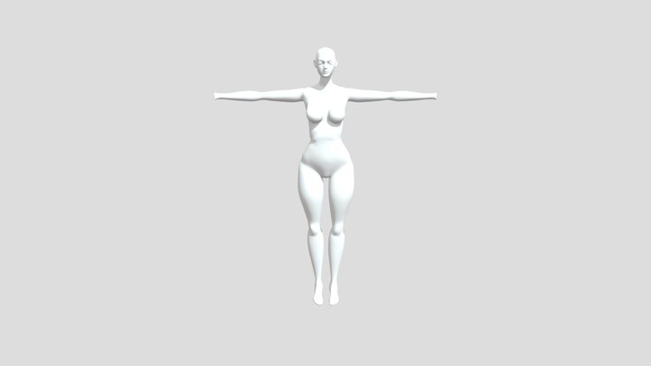 Optimized mesh (no hands) 3D Model