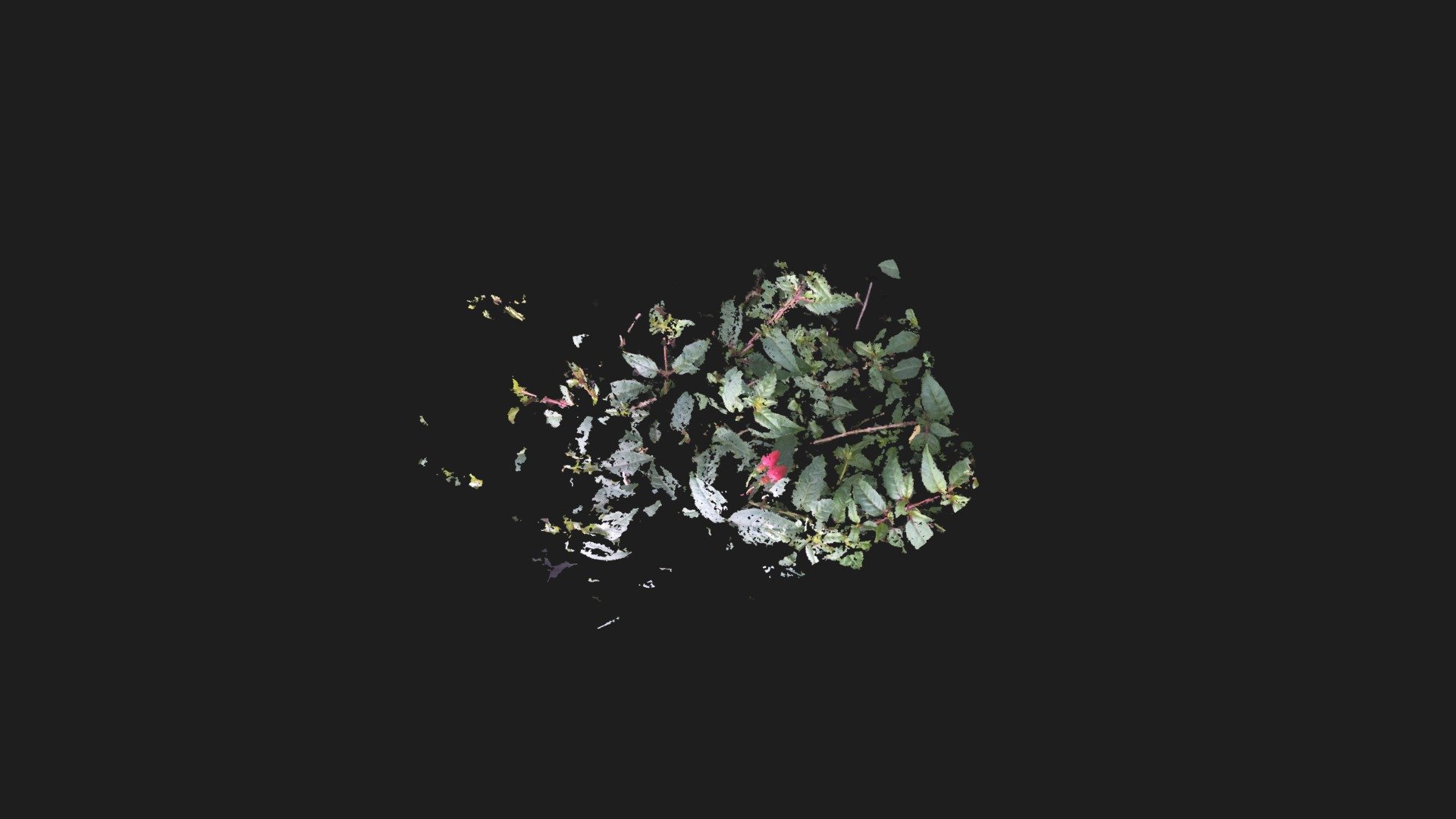Floer