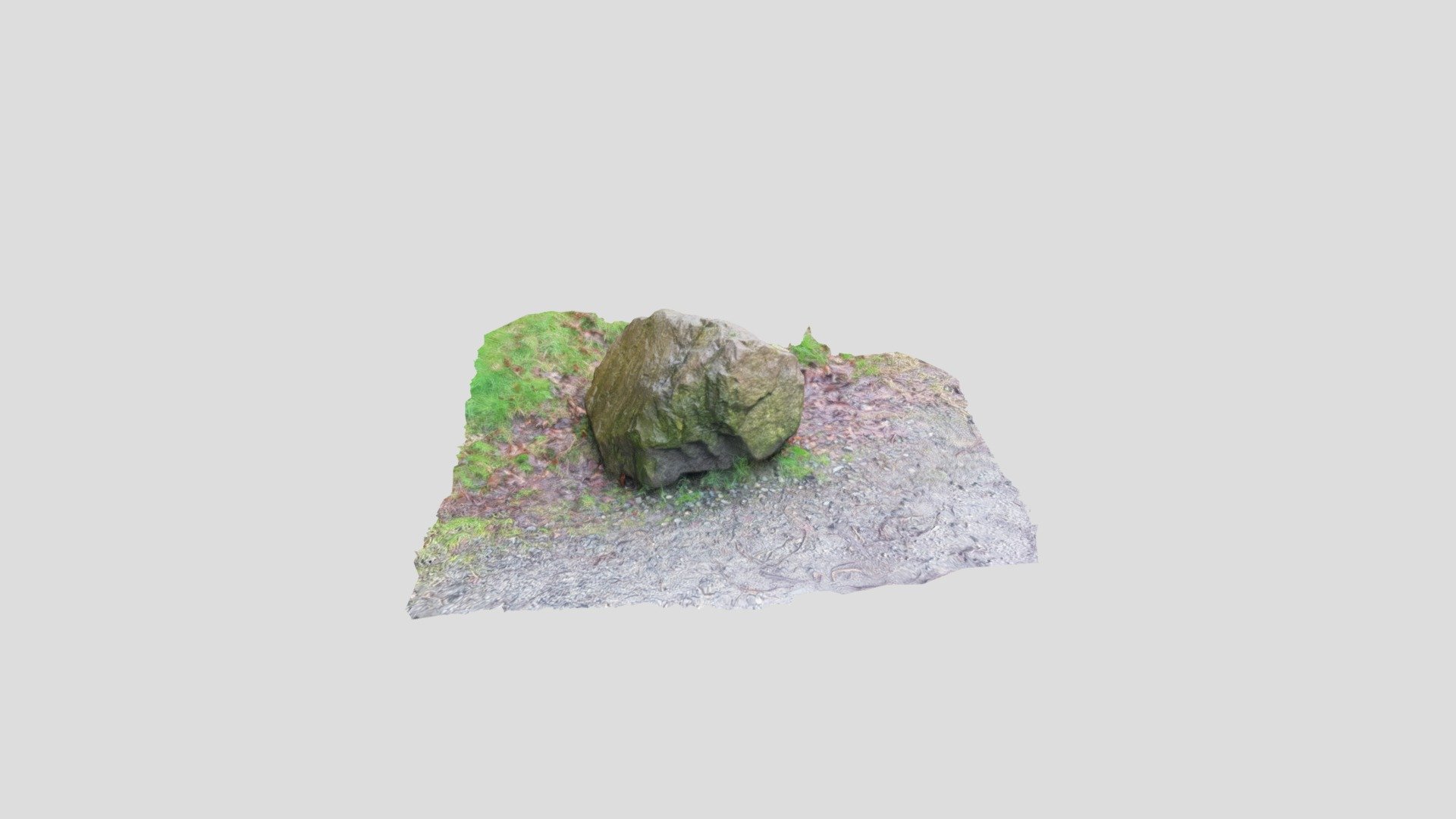 wet rock