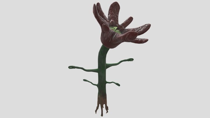 The Ovomorph 3 3D Model