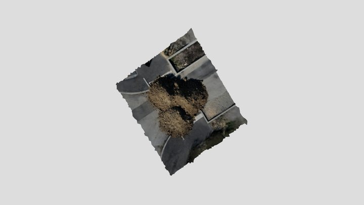TAs 3D Model