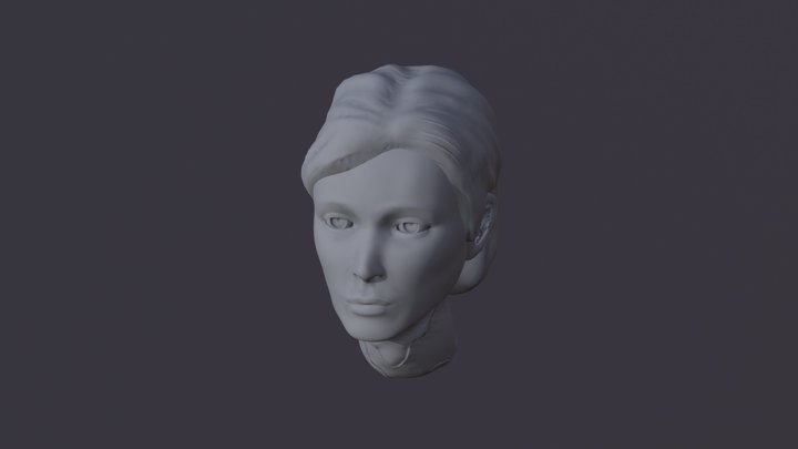 busto 3D Model