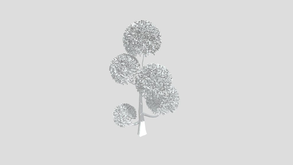 Sj Ornamental Tree Crown Calm