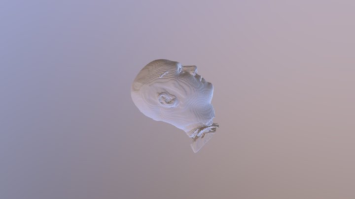 Tomografia De Cabezaa 3D Model
