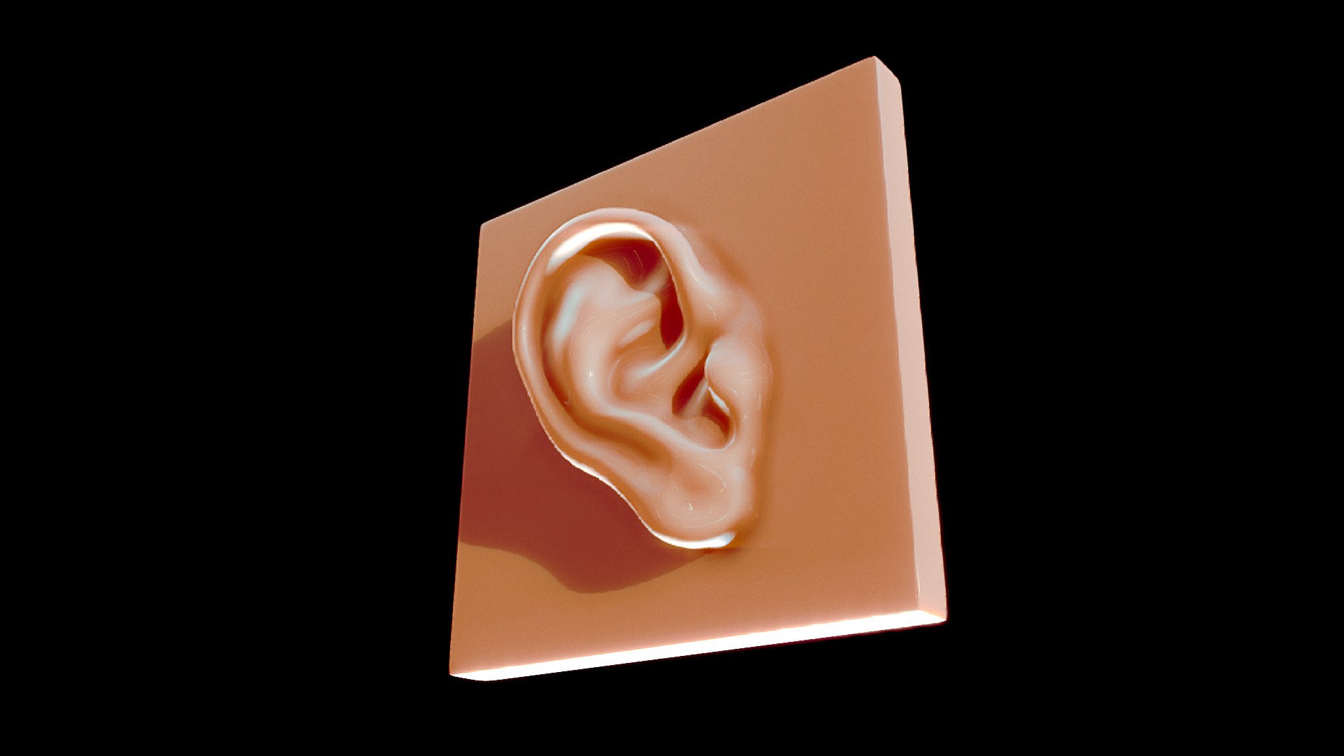 Ear Reference for Artists Buy Royalty Free 3D model by Nima