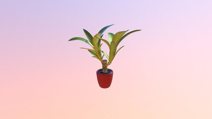 Indoor Plant 02 3D Model