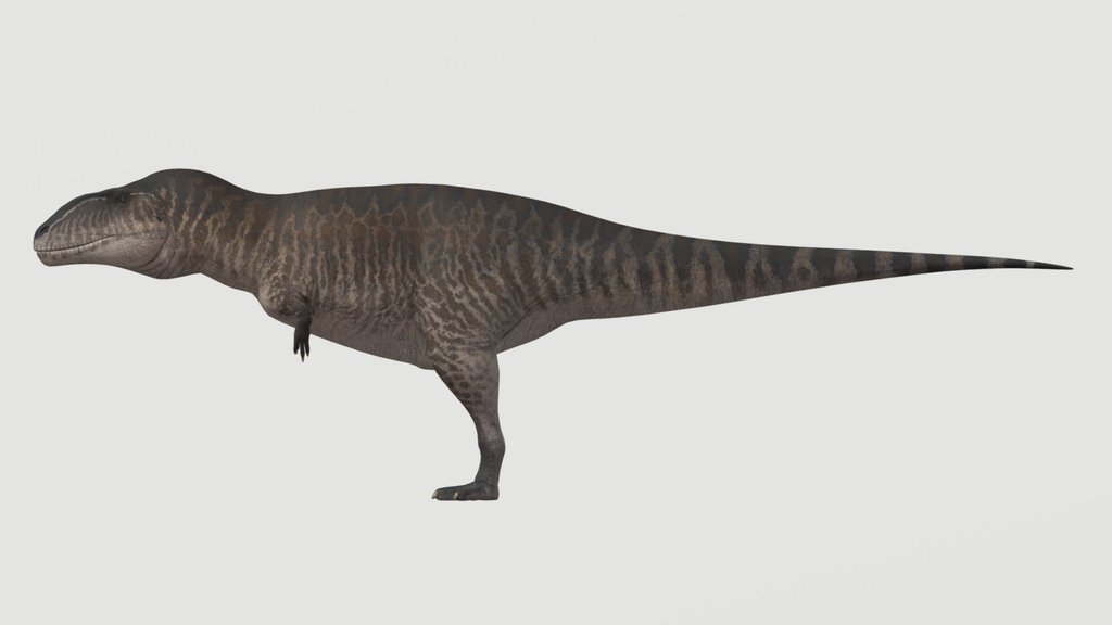 Accurate Carcharodontosaurus