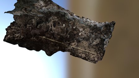 HN Sloth 2015 3D Model