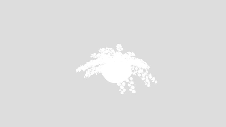 White Spirea Flower Arrangement
