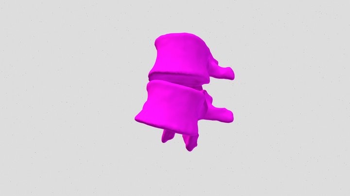 Project Final L1+L2 Isolated 3D Model