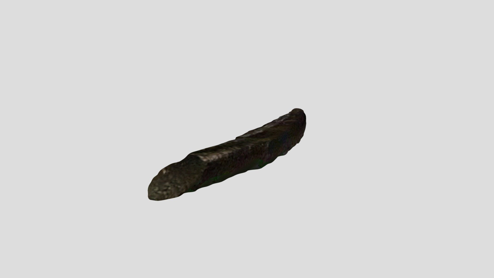 Whale Tooth (1.5-2 million years ago) - Download Free 3D model by