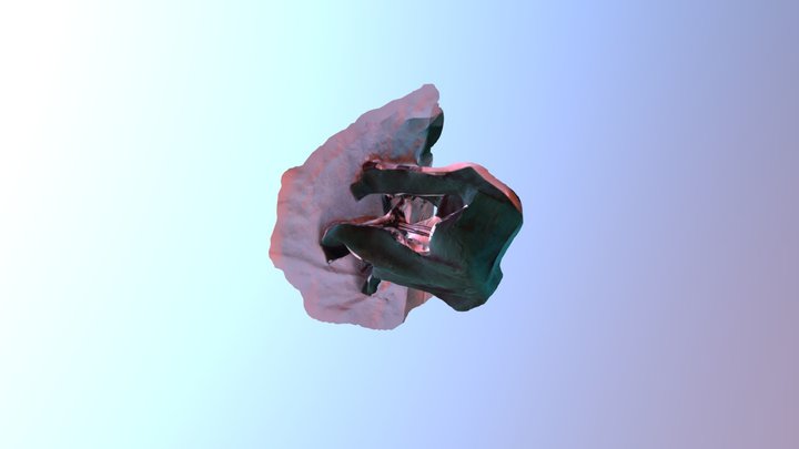 B 3D Model