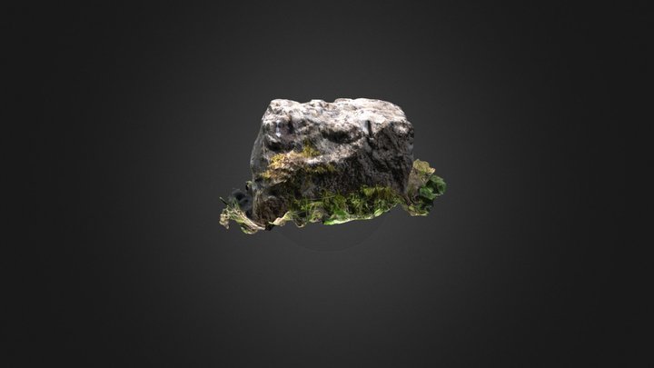 Inistioge: Fragment 65 Dundry stone 3D Model