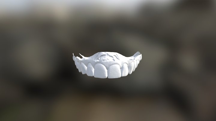 Clementine Upper Jaw 3D Model