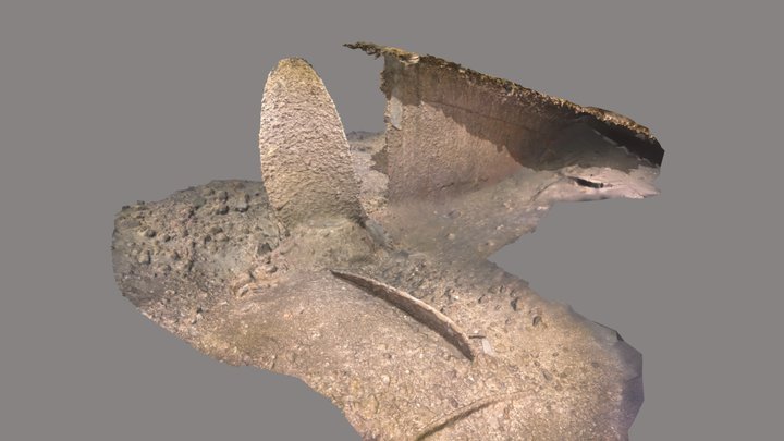 Remaining propeller of the Empress of Ireland 3D Model