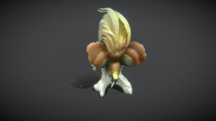 Bird Test 3D Model