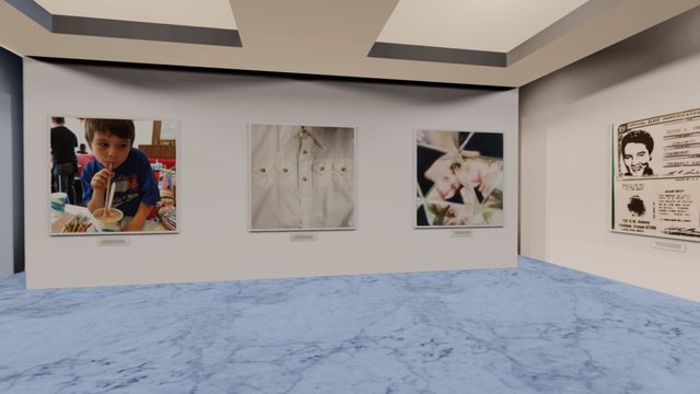 Instamuseum for @Emilyalkek 3D Model