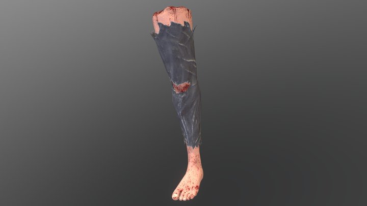 Nozob Leg Melee 3D Model