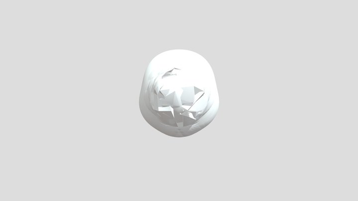 My model 3D Model