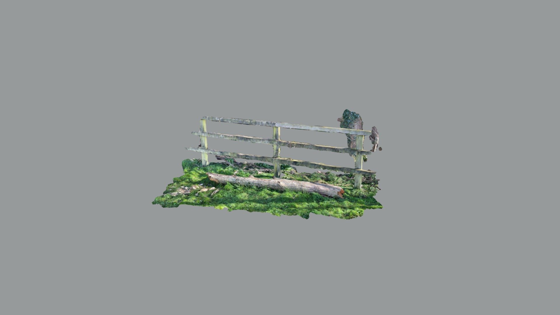 Boston farm