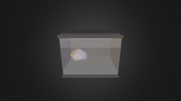 Aquarium 3D Model