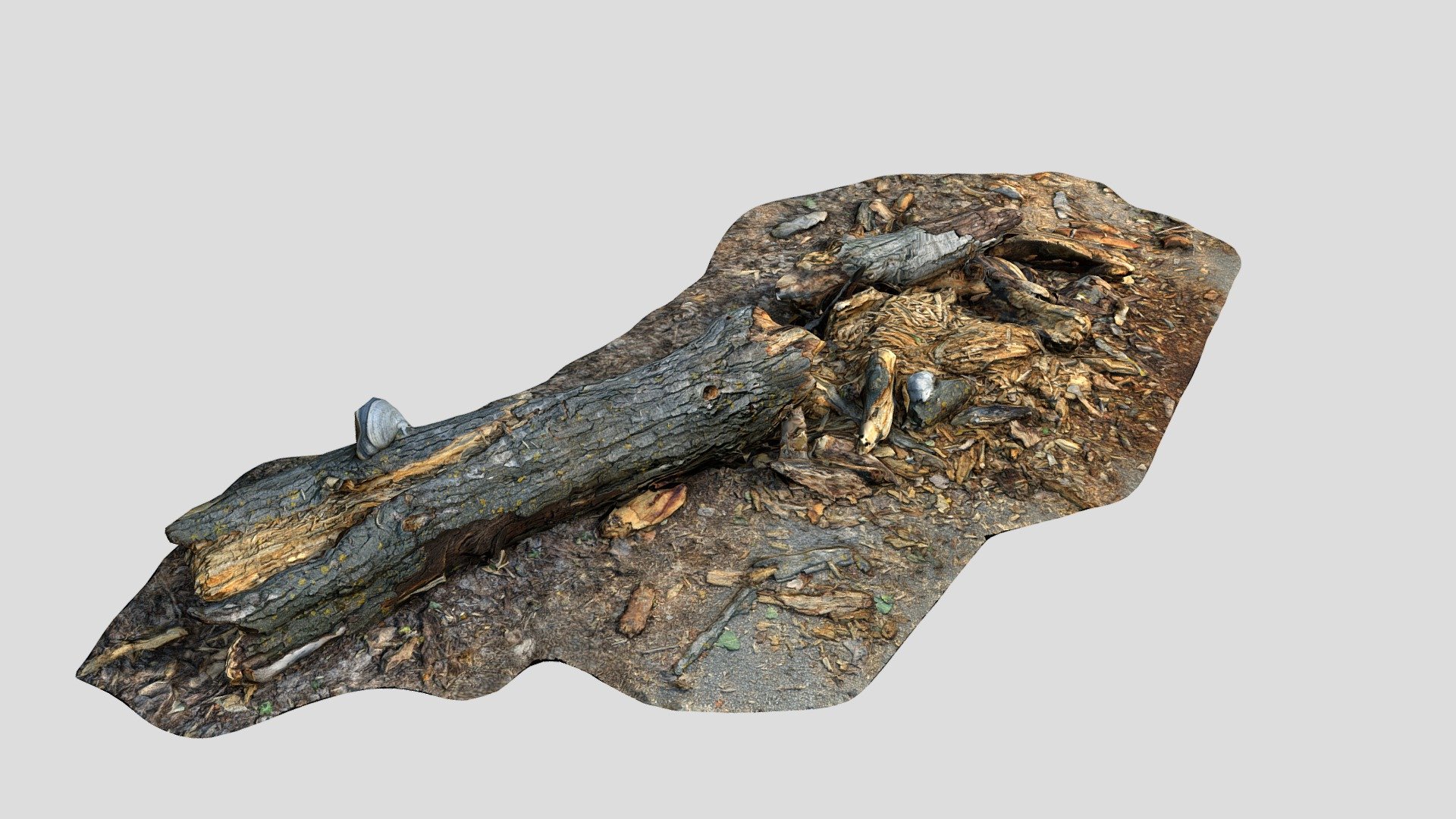 Broken Branch 02 LP_01