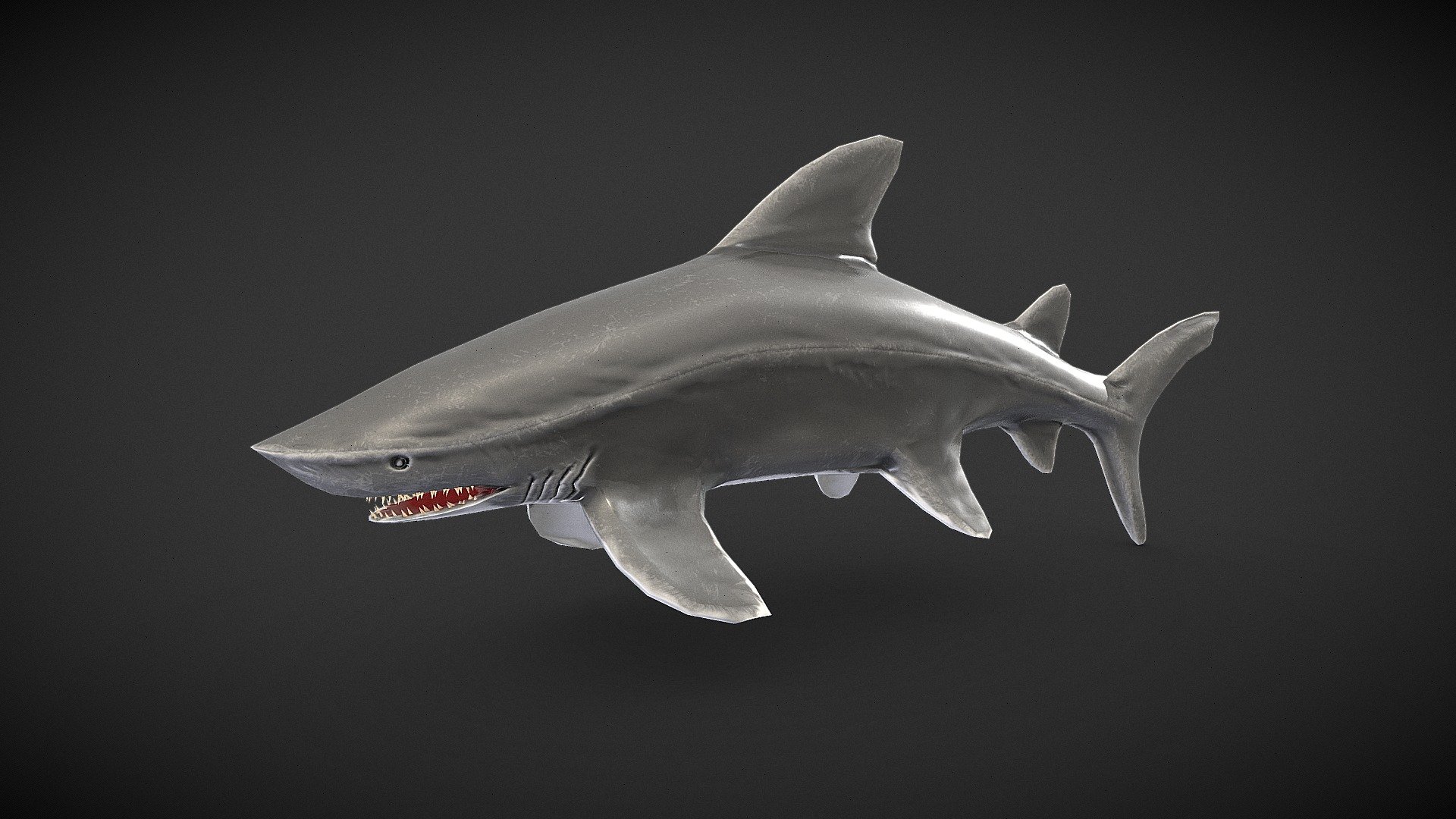 Shark (Realistic) - 3D model by Tonkla_662110132 (@tonkla888) [55eaffd ...