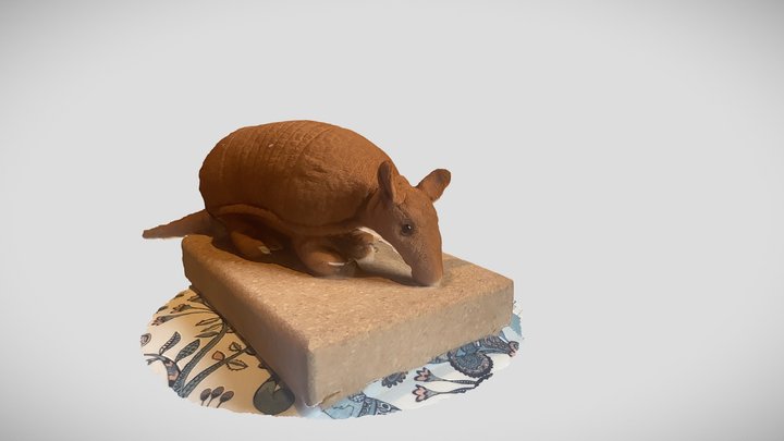 Test - plush toy scan 3D Model