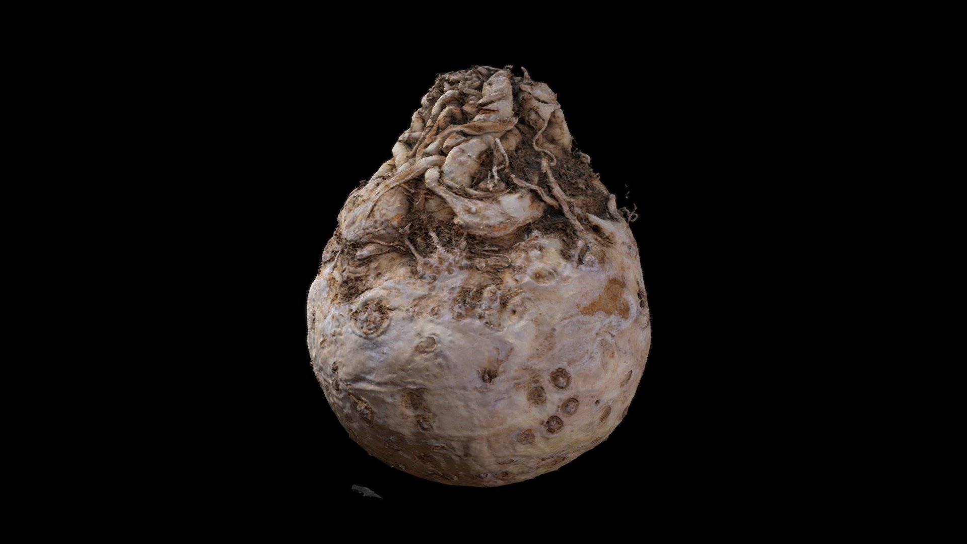 Celeri