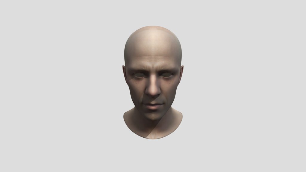 3d Scanned Human Head