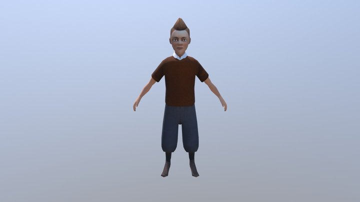 Tin Tin 3D Model