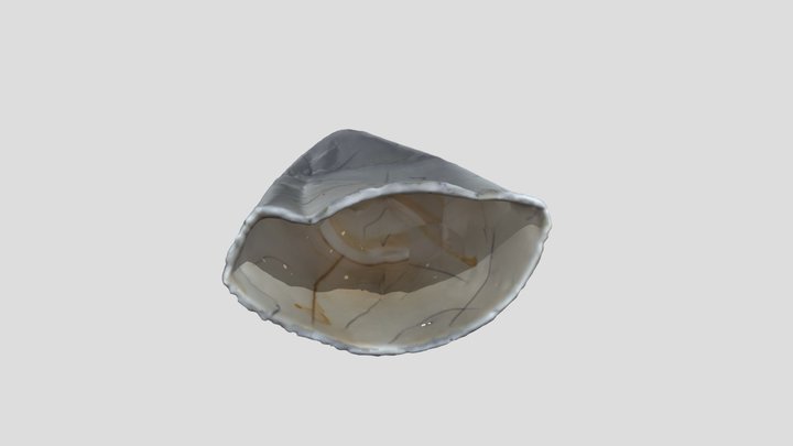 Crushed White Cup, Part 2 - Marked – Free 3D Model STL