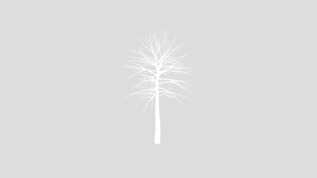 Emtpy Tree