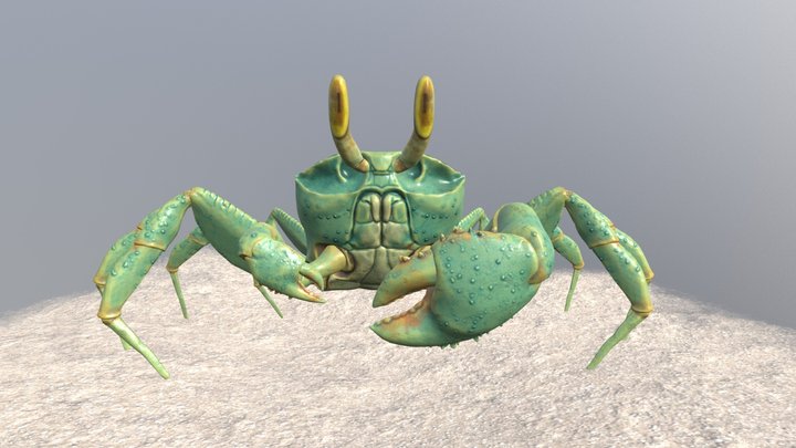 Green Ghost Crab 3D Model