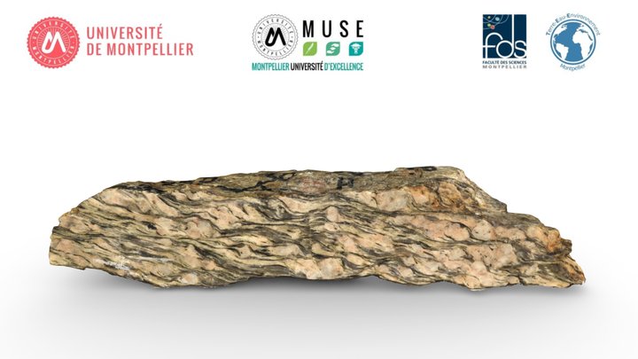 TectoUM - 396 3D Model