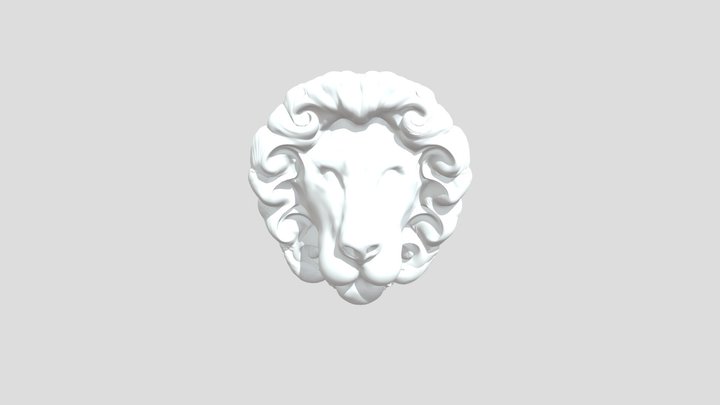 My model 3D Model