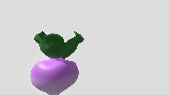 turnip 3D Model